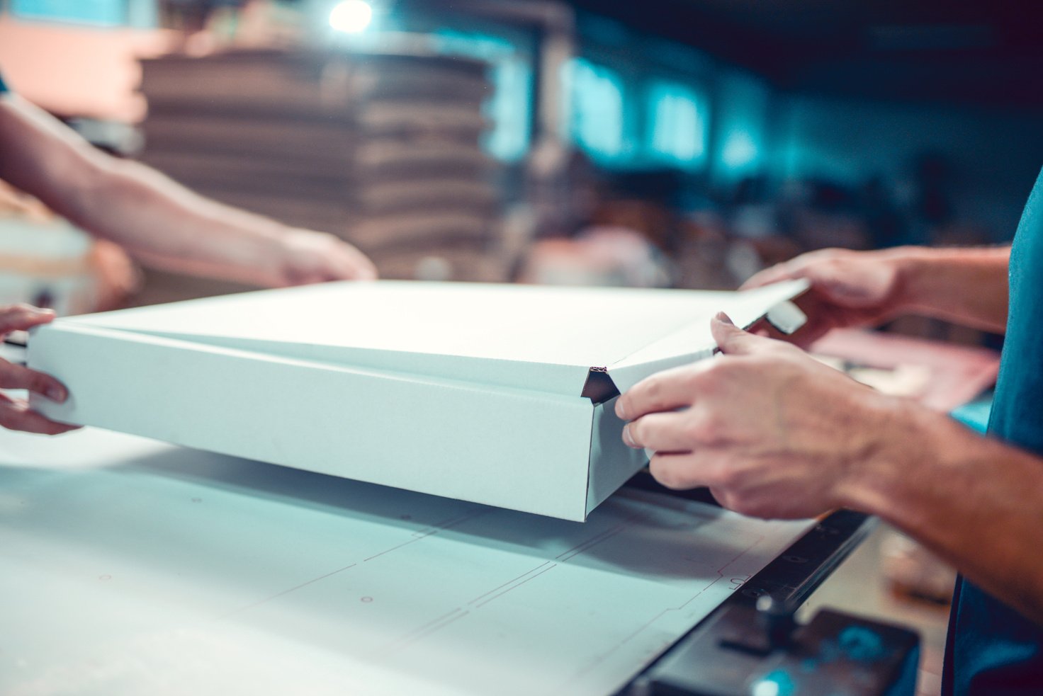 Colleagues In Factory Folding Carton Box